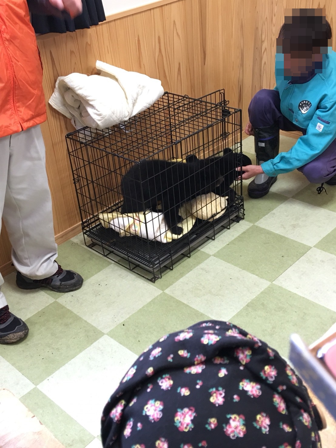 くまくま園に行ってきた こぐまとのふれあい ランチや周辺情報も ぬくとい