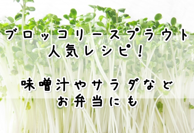 ブロッコリースプラウトレシピ人気1位 味噌汁やサラダなど簡単な食べ方 選 お弁当にも ぬくとい