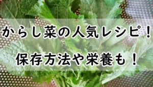 からし菜の人気レシピ 10選 つくれぽ1位は 保存方法や栄養も ぬくとい