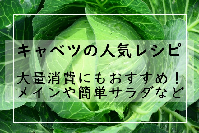 キャベツのレシピ35選 つくれぽ1000以上だけ 人気1位は 大量消費にもおすすめ メインや簡単サラダなど ぬくとい