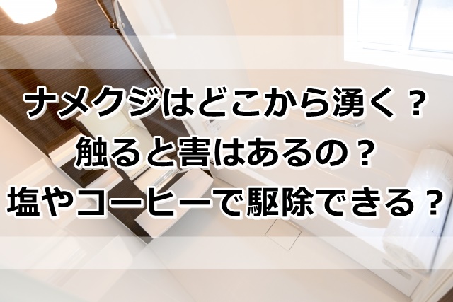 ナメクジはどこからか家の中に 害は 塩やコーヒーで駆除できる ぬくとい