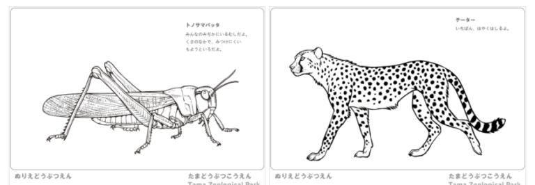 厳選まとめ 動物の塗り絵 無料ダウンロードできるサイト 11選 ぬくとい
